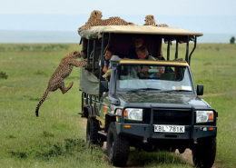 Tourists at Maasai Mara, Photo Courtesy of David Horsey 