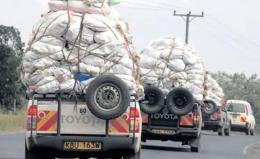 Vehicles ferrying Miraa [Photo Courtesy]