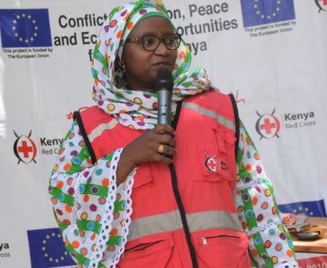 Dr. Asha Mohammed: Secretary-General of the Kenya Red Cross Society Impacting the Lives of Millions in Kenya  