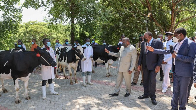 President Uhuru Kenyatta gifts President Evariste Ndayishimiye 50 cows