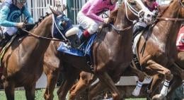 ‘Win and You’re In’ Races For The Breeders’ Cup Classic