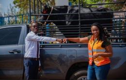 Lucky customer Micah Muisyo Muthama, a BioChem Engineering student from Kenyatta University who bought cow on Jumia Black Friday for Ksh 100