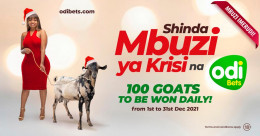 Shinda Mbuzi ya Krisi: Odibets Surprises Customers With Early Christmas Gift