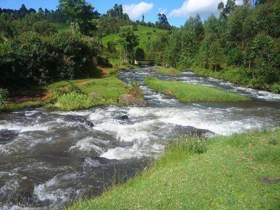 Section of River Mathioya. |Photo| Courtesy|