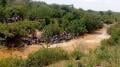 File image of people along River Yala. |Photo| Courtesy|