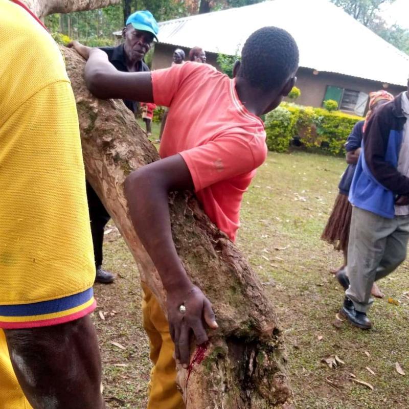19-Year-Old Man Nailed on a Tree For 'Stealing' a Radio 