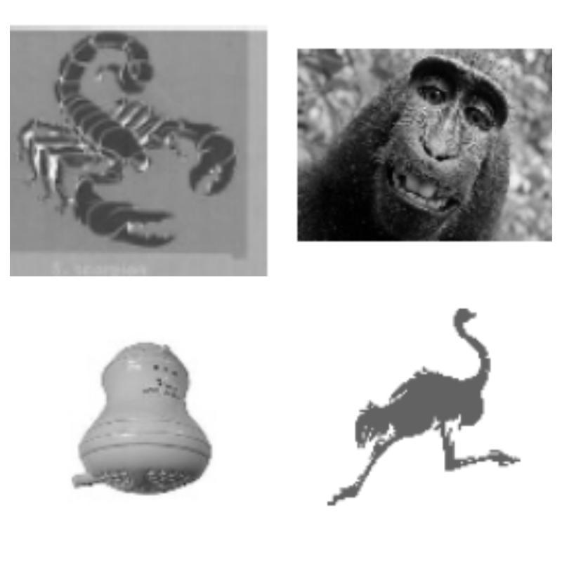 Some of the symbols by independent candidates 