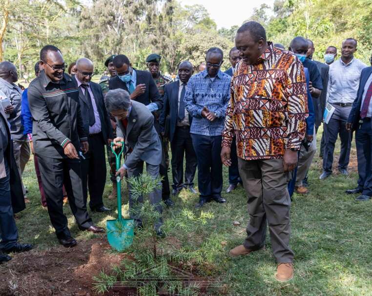 President Kenyatta Launches Accelerated National Tree Growing Campaign