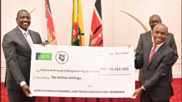 Kenyans have raised Sh542 Million to help those affected by drought.