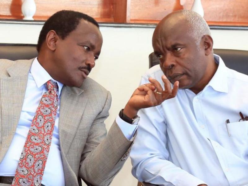File image of Kalonzo Musyoka and Kivutha Kibwana.