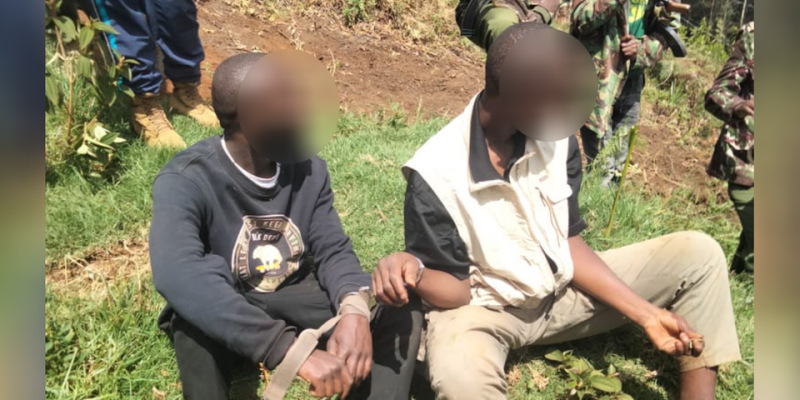 File image of the two suspected robbers