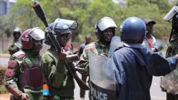 File image of police officers during the anti-government protests.