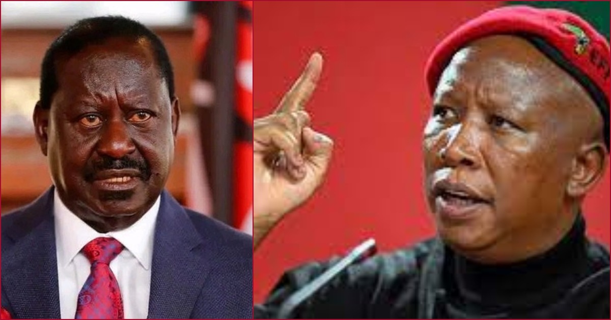 Collaged photos of ODM leader Raila Odinga and South African opposition politician Julius Malema.