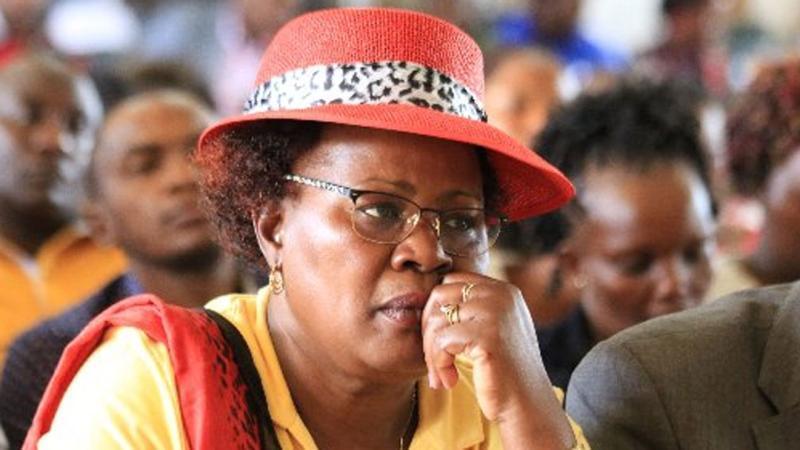 File image of Water CS Alice Wahome.