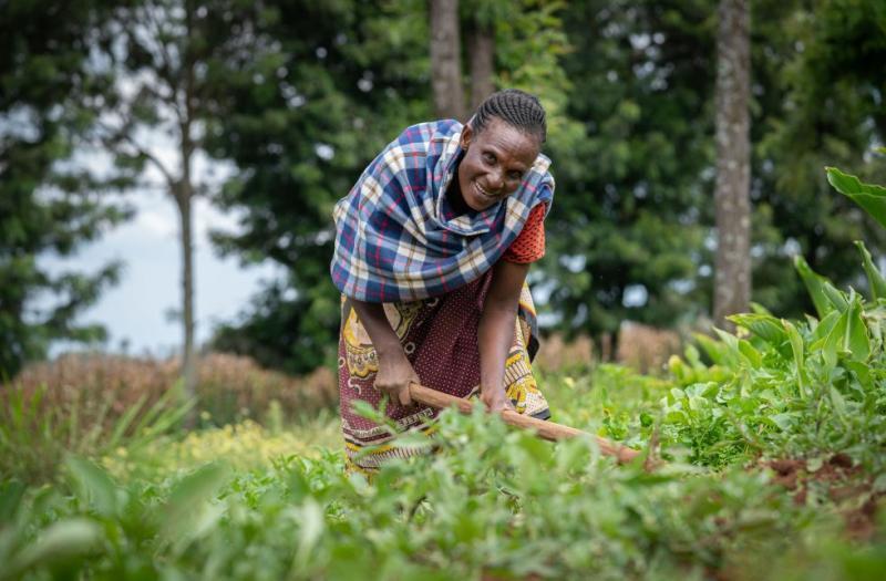 Mercy Corps AgriFin to host the 7th AgriFin Learning Event (ALE) at Safari Park Hotel, Nairobi.