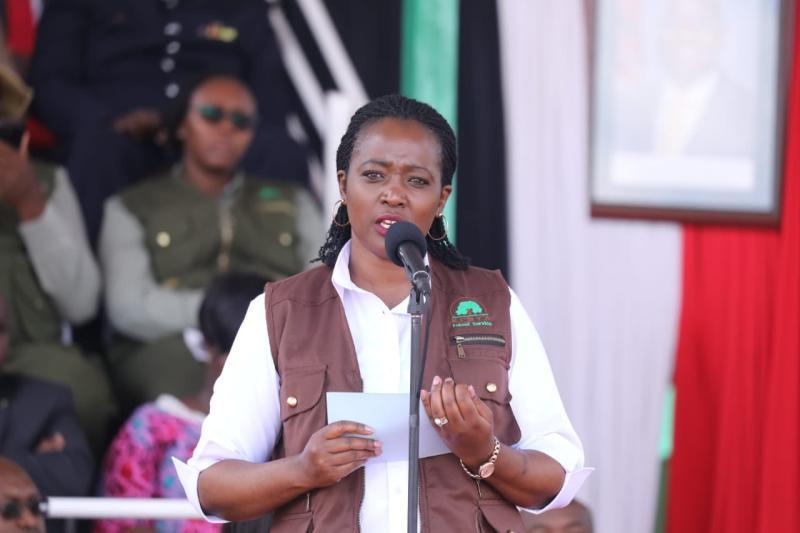 Environment CS CS Soipan Tuya.