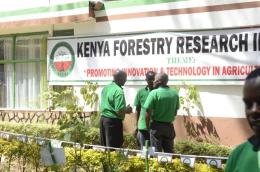 Kenya Forest Research Institute officials at work.