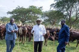President Ruto meets President Museveni and Raila Odinga in Uganda.