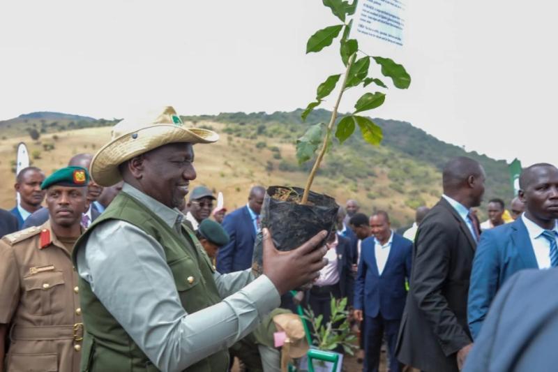 File image of President William Ruto.