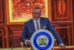 Agriculture CS Mithika Linturi while appearing before the Senate.