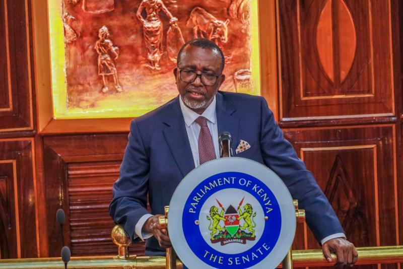 Agriculture CS Mithika Linturi while appearing before the Senate.