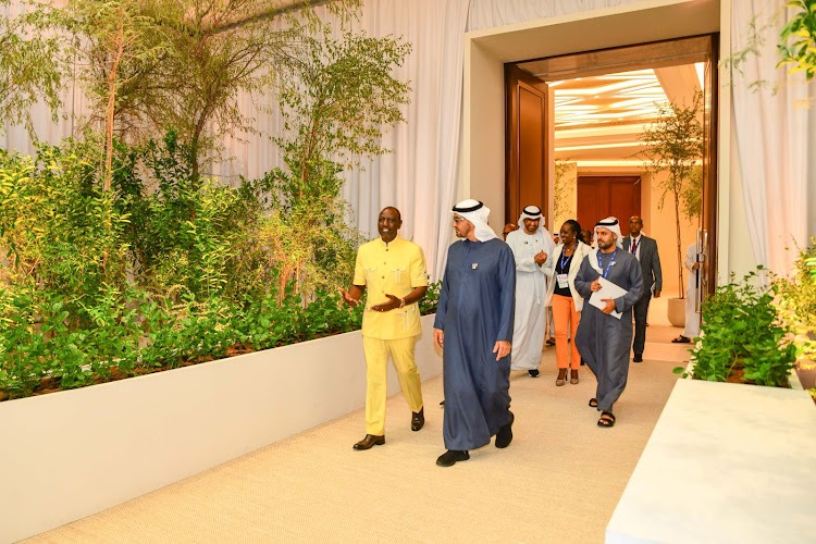 File image of President William Ruto with his UAE counterpart counterpart Sheikh Mohamed bin Zayed Al Nahyan