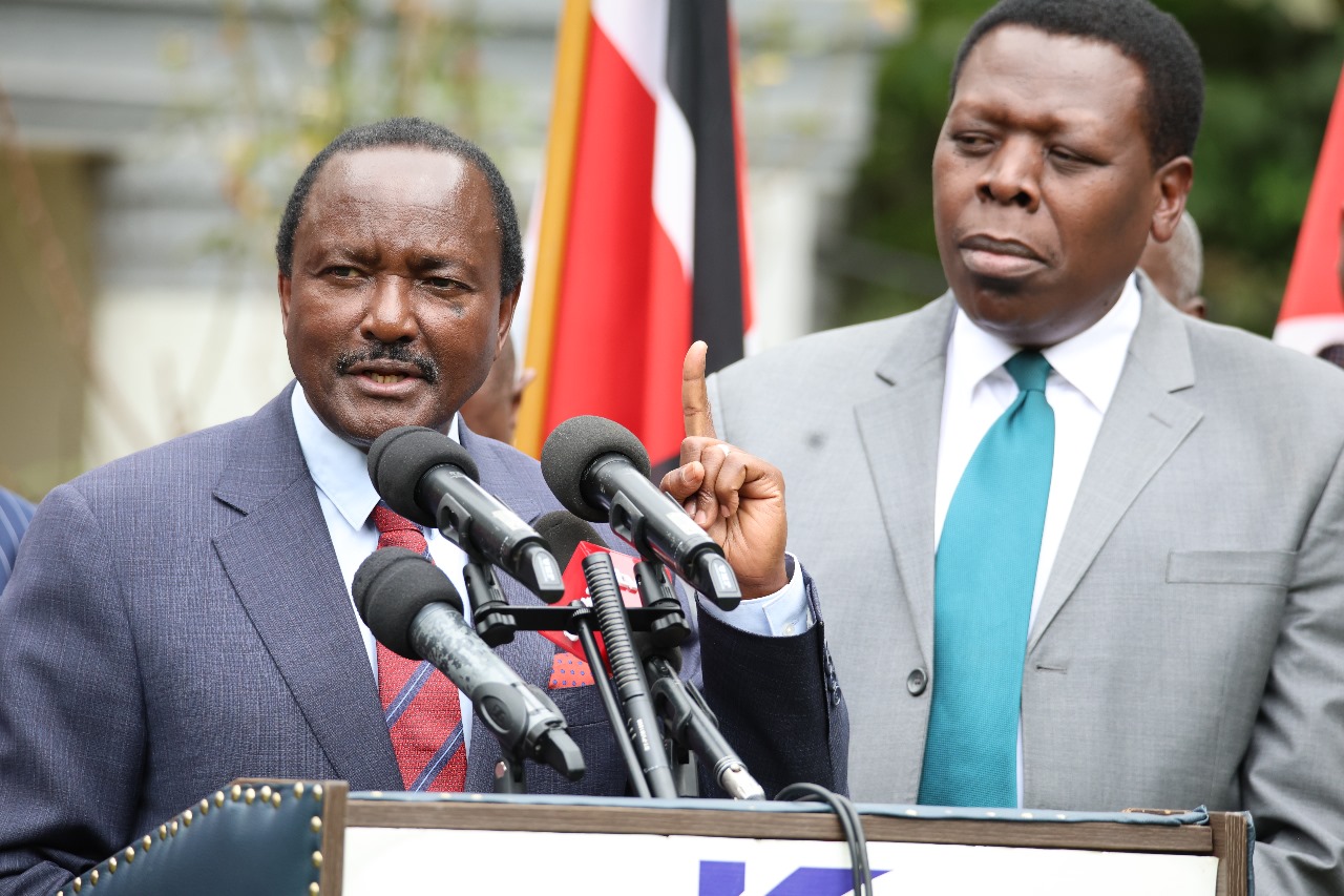 Wiper leader Kalonzo Musyoka.