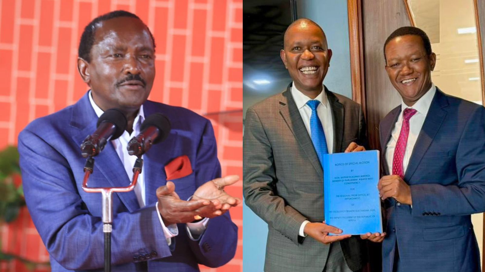 Photo collage of Kalonzo Musyoka, Mutuse Mwengi and Alfred Mutua