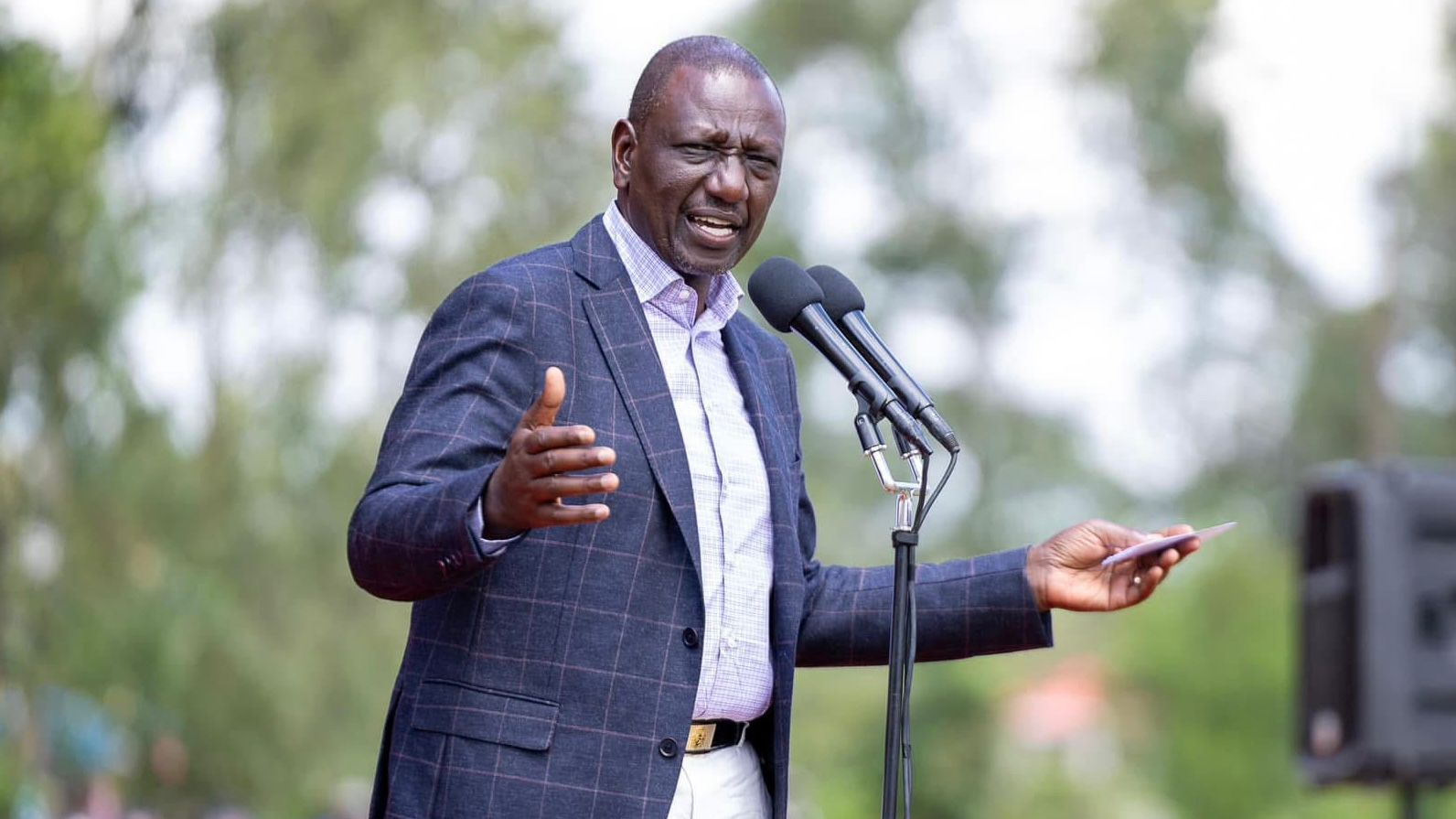 File image of William Ruto