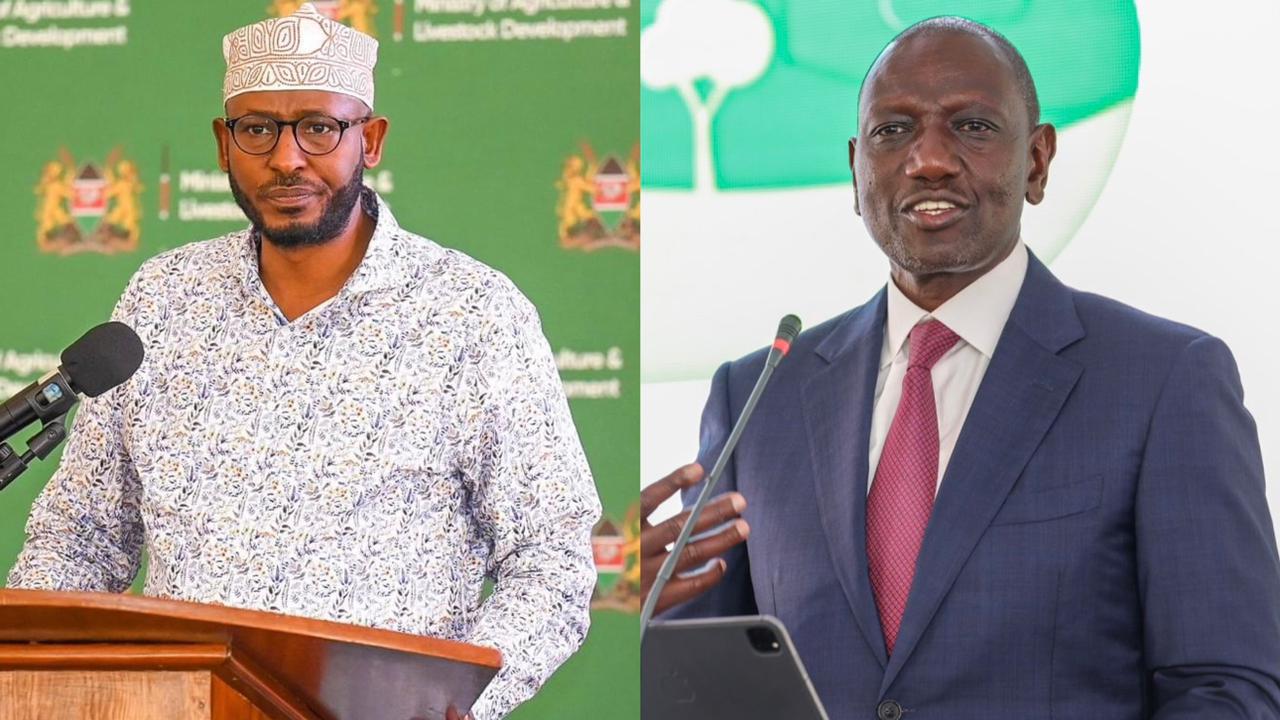 Photo collage of Council of Governors Chairperson Ahmed Abdullahi and William Ruto