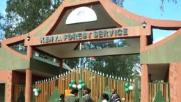 File image of Kenya Forest Service