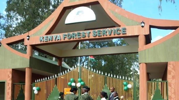 File image of Kenya Forest Service