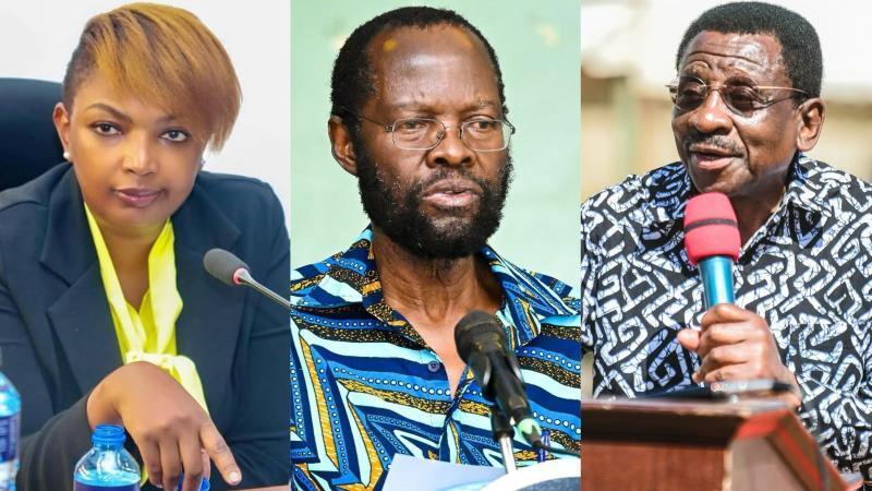 File image of Karen Nyamu, Anyang' Nyong'o and James Orengo