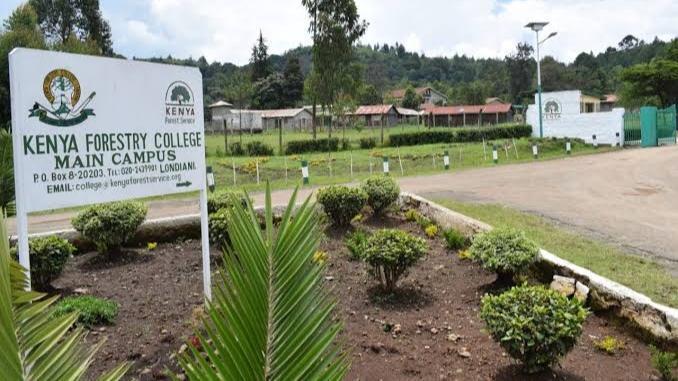 File image of the Kenya Forestry College