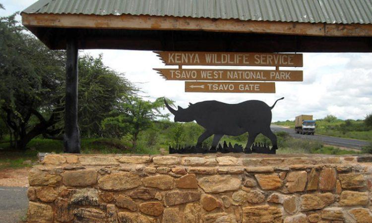 File image of Tsavo West National Park.