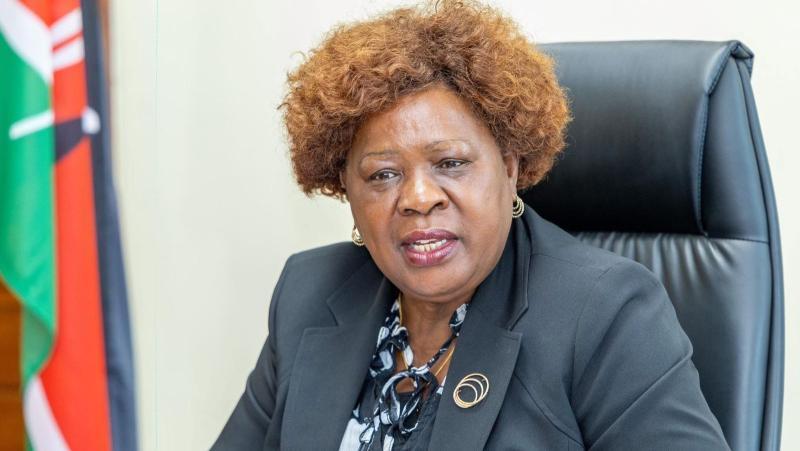 File image of Lands CS Alice Wahome