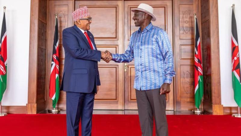File image of Somaliland President Abdirahman Mohamed Abdillahi (Irro) and President William Ruto