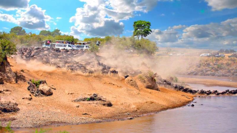 File image of wildebeest migration at the Maasai Mara National Reserve