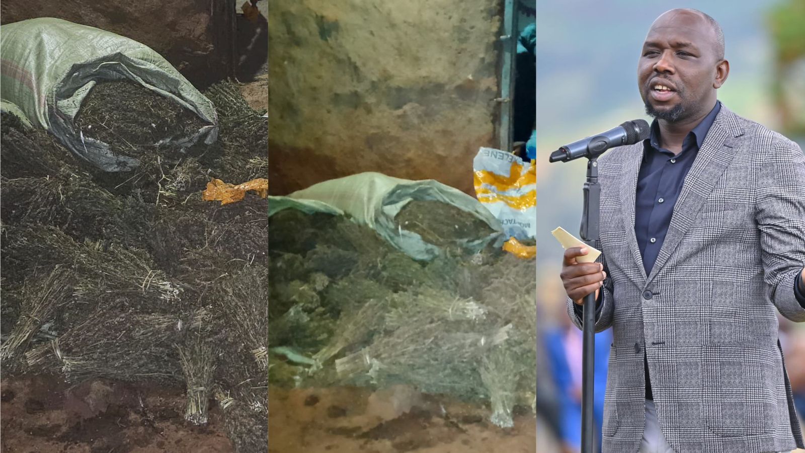 File image of bhang recovered by NACADA and Interior Cabinet Secretary Kipchumba Murkomen