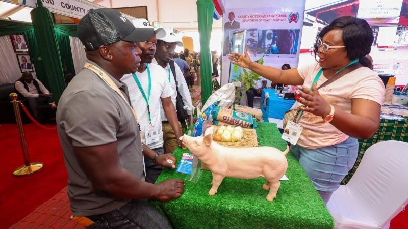 File image of Kiambu County exhibition stand at the Devolution Conference