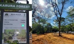 File image of the Karura Forest.