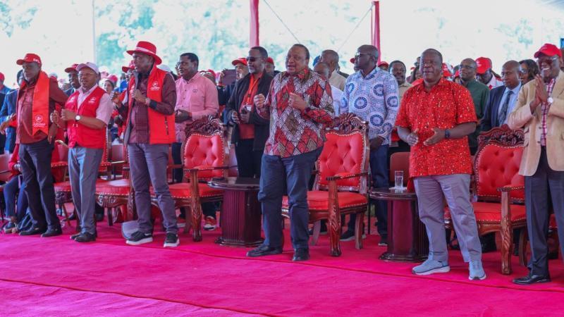 File image of the Jubilee Party NDC