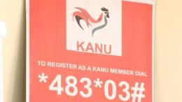 File image of a KANU banner