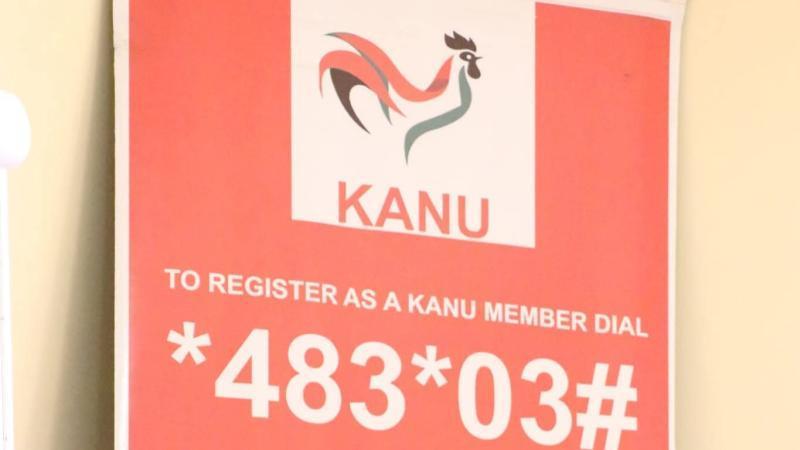 File image of a KANU banner