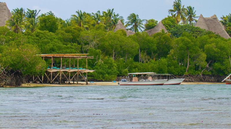 File image of an establishment along a shoreline