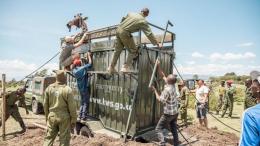 File image of KWS personnel relocating a giraffe