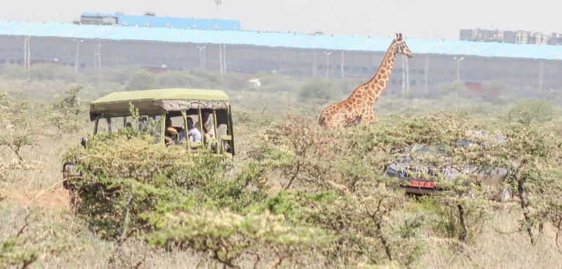 File image of tourists at the Nairobi National Park