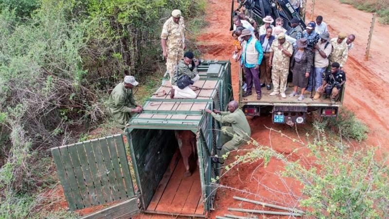 File image of President William Ruto at the Tsavo West Rhino Sanctuary