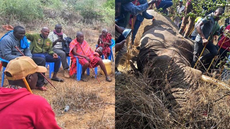 File image of locals and the elephant