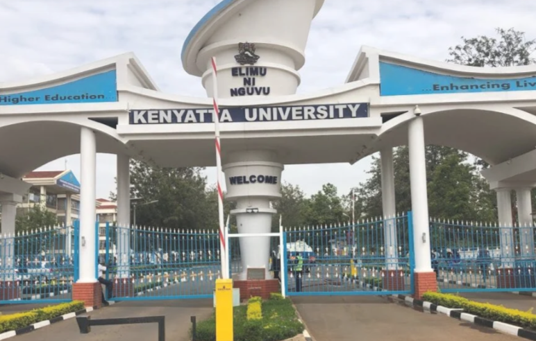 File image of the Kenyatta University gate.